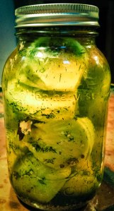 20160126_161225-1 pickled green tomatoes